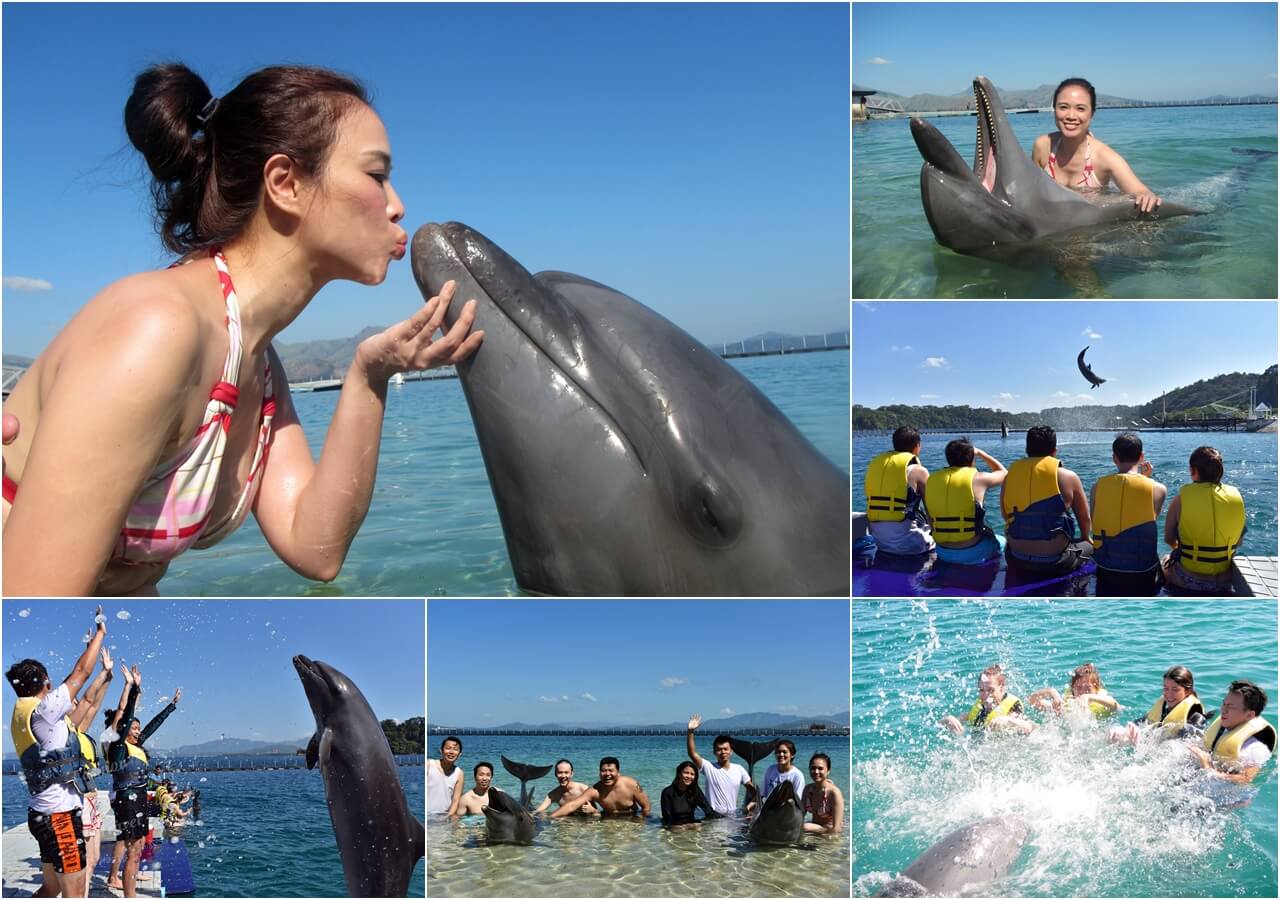 菲律賓必去蘇比克灣海洋公園,一生一定要有一次和海豚近距離接觸(附影片) @吳大妮的生活筆記本