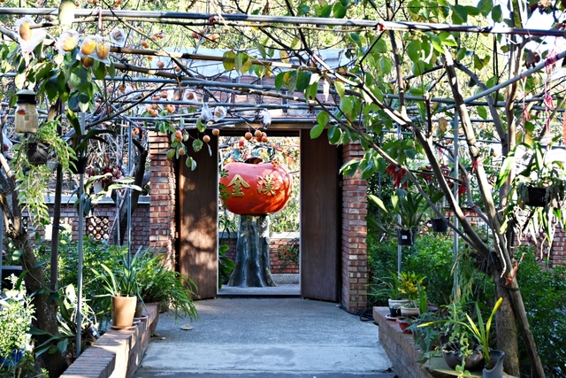 新竹景點：金漢柿餅教育農園，9-12月限定曬柿場與三合院的完美組合